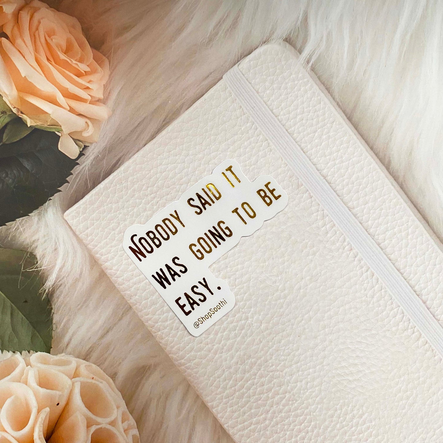 Nobody Said It Was Going To Be Easy - Sticker